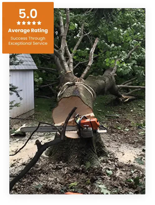 Commercial Tree Service