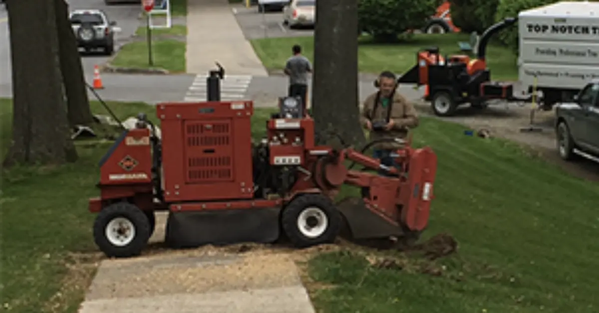 Stump Grinding Services in Susquehanna County, PA | Fast, Clean Stump Removal