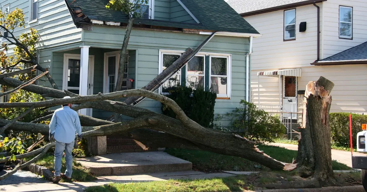 Emergency Tree Service & Storm Cleanup in Susquehanna County, PA | Fast, Safe, 24/7 Response