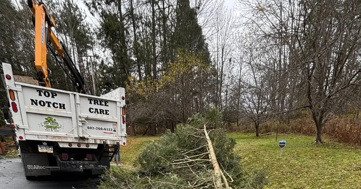 Tree Trimming in Susquehanna County, PA | Healthy, Safe, Professional Tree Care