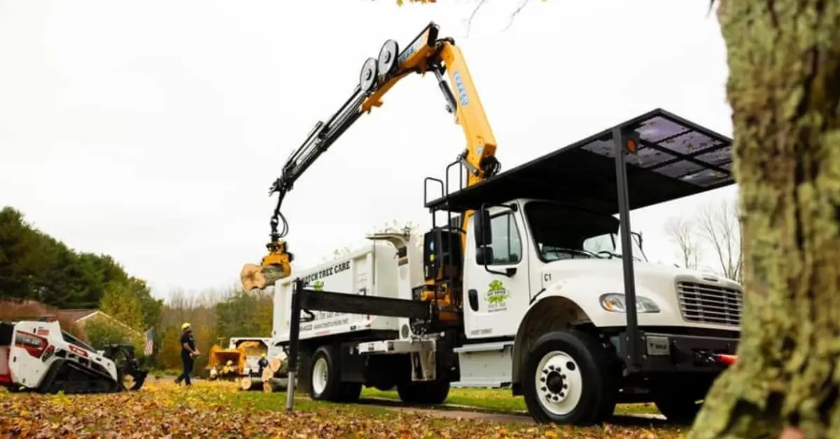 Emerald Ash Borer Control: Your Solution to a Healthy, Pest-Free Landscape