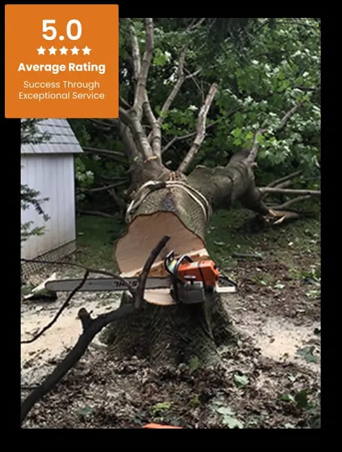 Commercial Tree Service